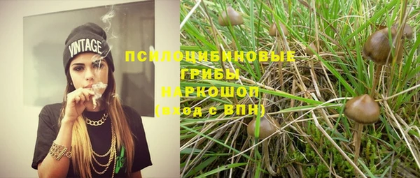 эйфоретик Алексеевка