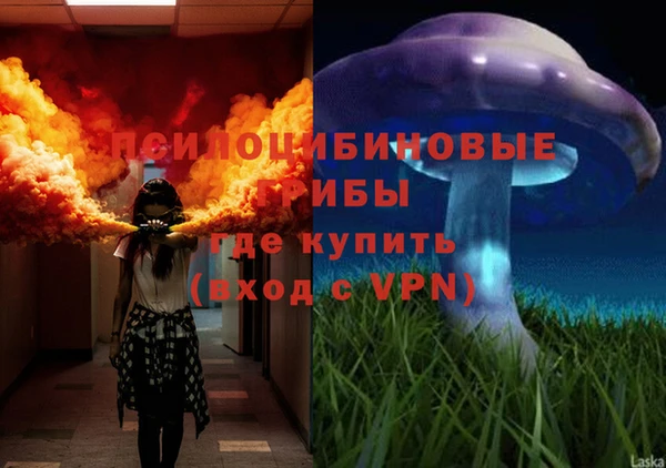 ALPHA PVP Алексин