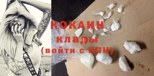 индика Киреевск
