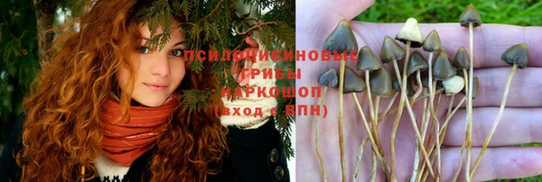 эйфоретик Алексеевка