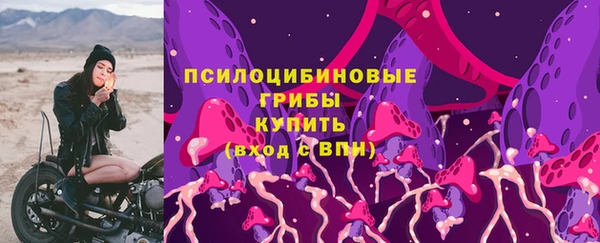 круглые Алзамай