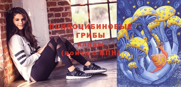 круглые Алзамай