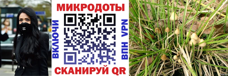 даркнет сайт  Макушино  Псилоцибиновые грибы MAGIC MUSHROOMS 